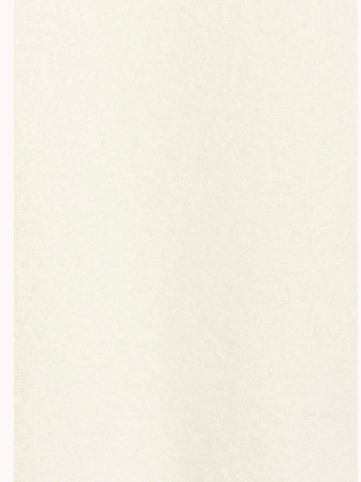 Brunello Cucinelli Frayed Sequinned Scarf