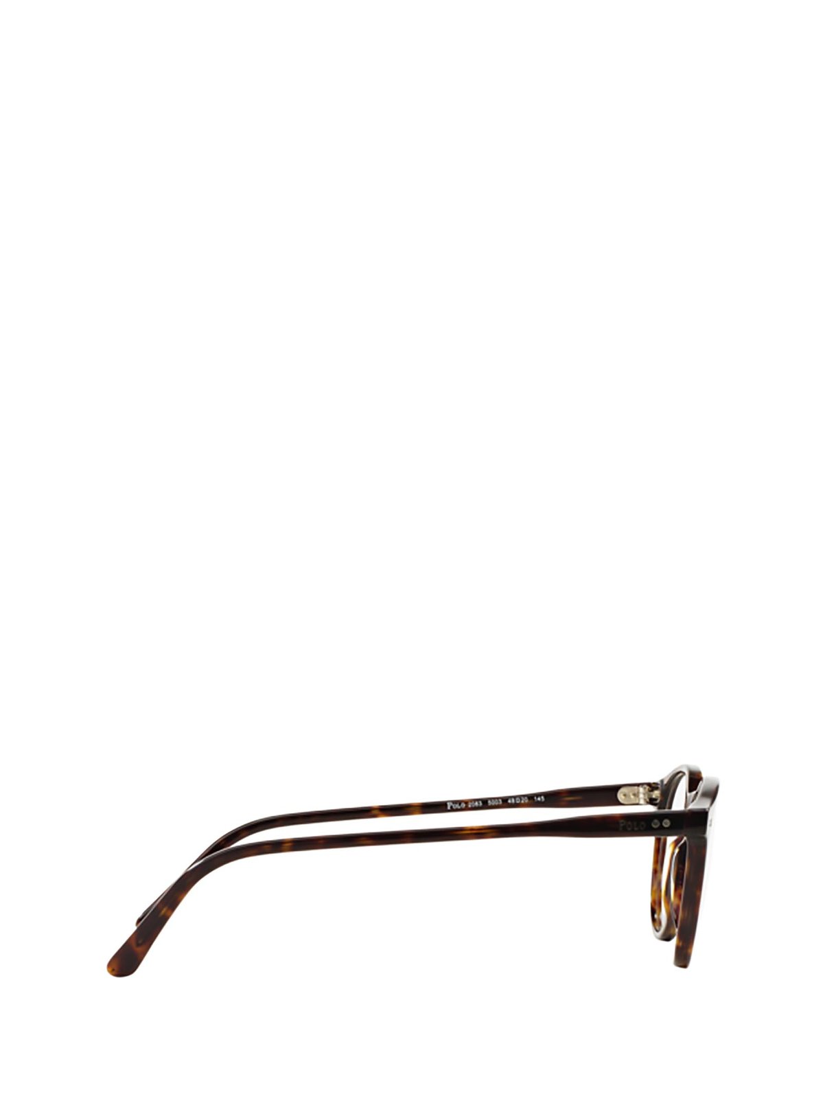 Polo Ralph Lauren Eyewear Round Frame Glasses