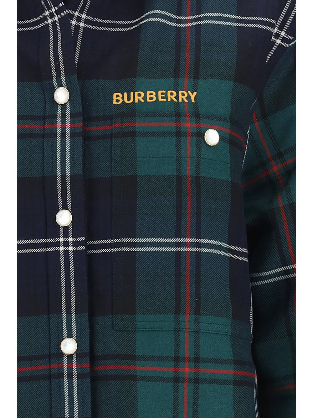 Burberry Checked Long-Sleeved Shirt