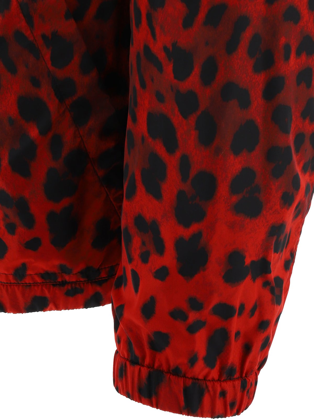 Dolce & Gabbana Leopard Printed Hooded Jacket