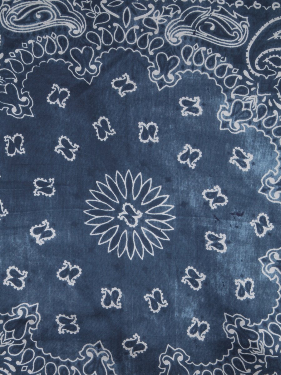 Golden Goose Deluxe Brand Paisley Printed Scarf