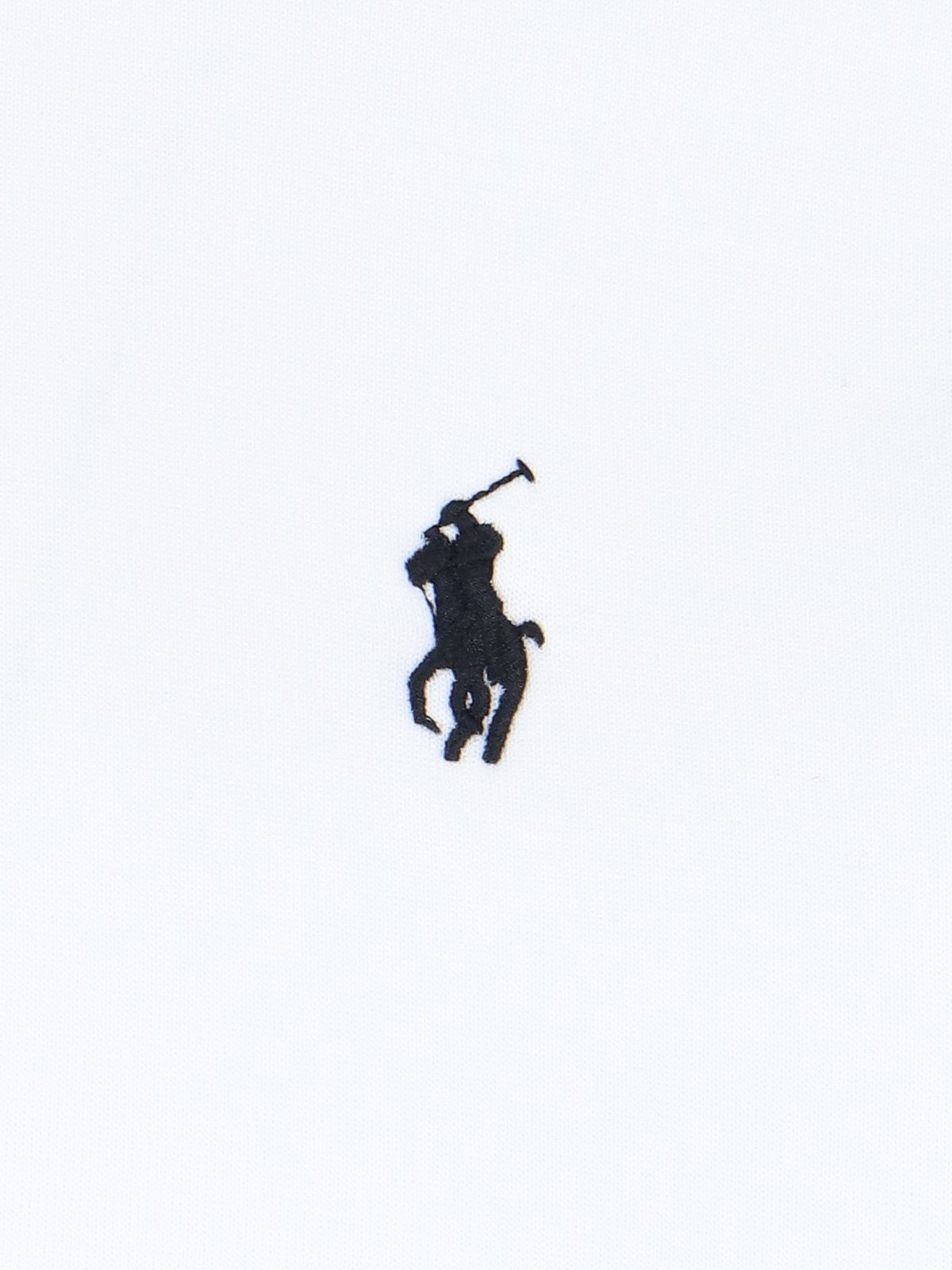 Polo Ralph Lauren Pony Embroidered Zipped Hoodie